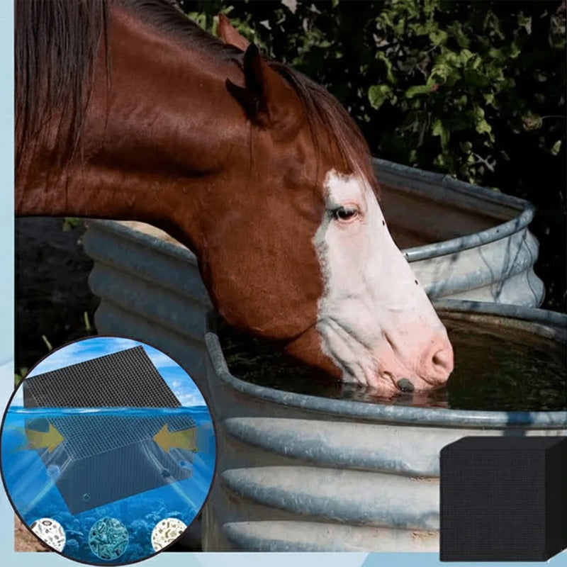 Water Purifying Cube