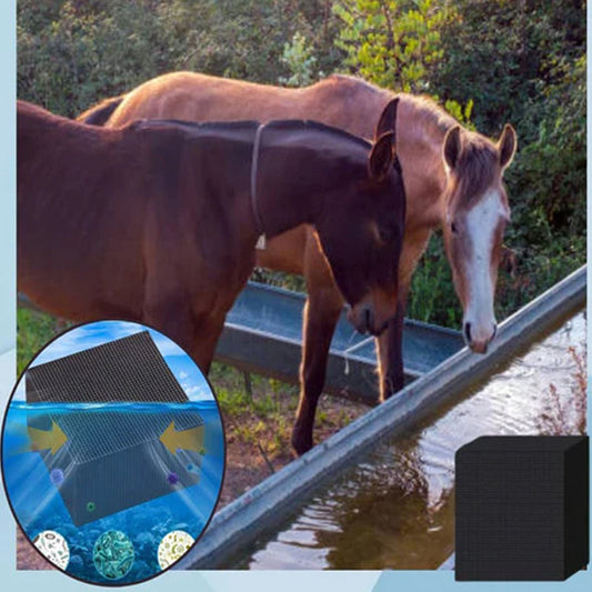🎉[Special Offer] Get 1 Extra Water Purifying Cube (with free shipping!)🎉