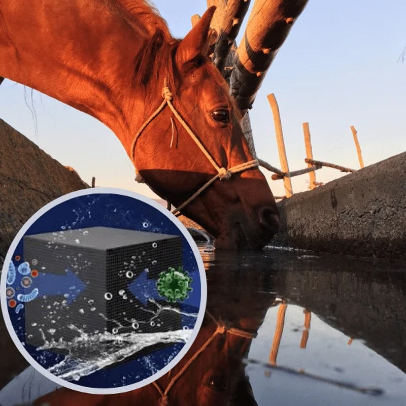 🎉[Special Offer] Get 1 Extra Water Purifying Cube (with free shipping!)🎉