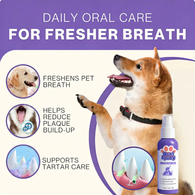 Pet Dental Care Spray – Fresh Breath & Easy Oral Care for Dogs & Cats