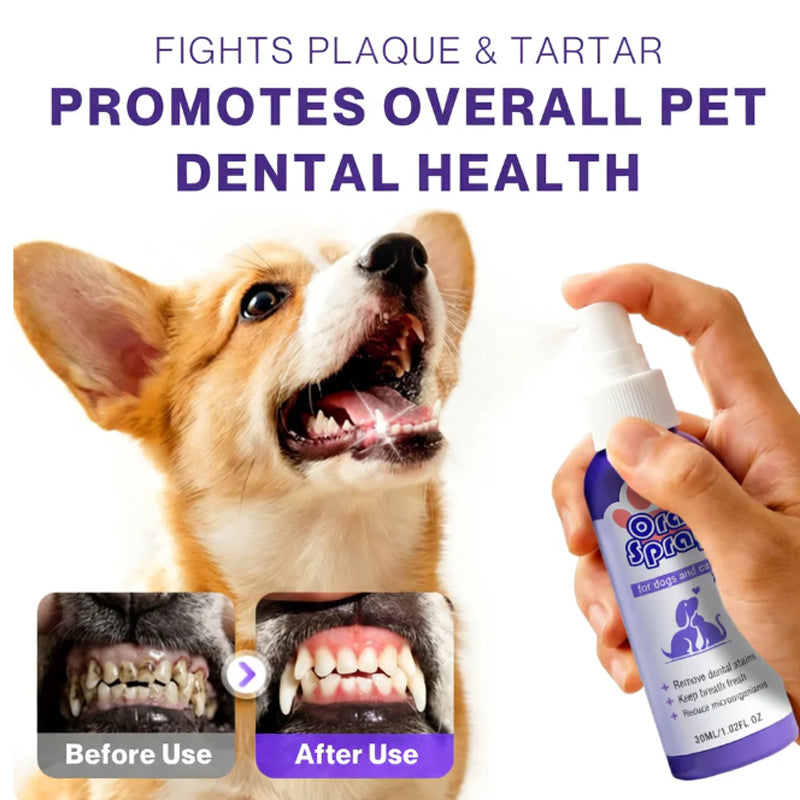 Pet Dental Care Spray – Fresh Breath & Easy Oral Care for Dogs & Cats