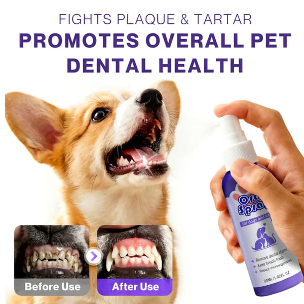 Pet Dental Care Spray – Fresh Breath & Easy Oral Care for Dogs & Cats