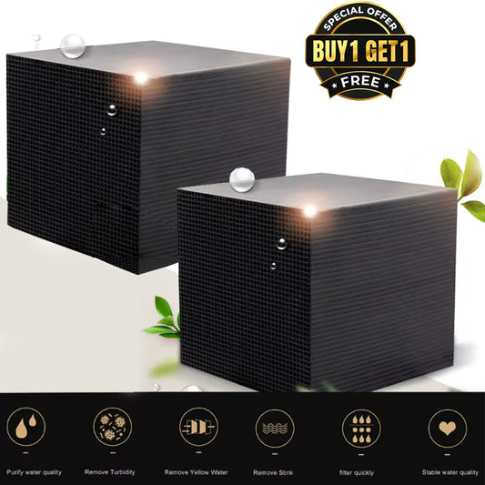 🔥 Limited-time offer: Get 2 Water Purifying Cube for the price of 1