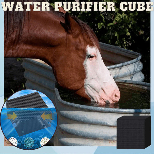 Water Purifying Cube.
